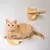 Escada e Prateleira de Parede para Gatos com Sisal | Escalada e Arranhador 2 em 1 - Pegada Pet - Cuide do Seu Pet com Qualidade e Amor!