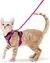 Peitoral Macio e Seguro para Gatos + Guia resistente