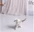 Imagem do Brinquedo Interativo para Gatos | Com Pena Resistente a Mordida para Diversão