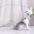 Brinquedo Interativo para Gatos | Com Pena Resistente a Mordida para Diversão - comprar online