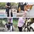 Sling de Suporte para Cães com Mobilidade Reduzida | Para Reabilitação Canina, Cães Idosos, Lesões em Cachorro e Conforto para Pets - Pegada Pet - Cuide do Seu Pet com Qualidade e Amor!