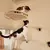 Escada e Prateleira de Parede para Gatos com Sisal | Escalada e Arranhador 2 em 1 na internet