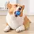 Bola Interativa para Cães com Movimento Automático | Bola de Brinquedo Inteligente para Cachorro e Gato - loja online