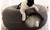 Imagem do Cama Interativa de Feltro para Gatos | Dupla Função, Dobrável e Confortável