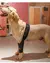Cinta de Suporte para Patas Traseiras e Dianteiras de Pets | Suporte e Protetor Ortopédico para o Seu Cachorro