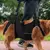 Sling de Suporte para Cães com Mobilidade Reduzida | Para Reabilitação Canina, Cães Idosos, Lesões em Cachorro e Conforto para Pets - comprar online
