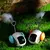 Carro de Brinquedo Automático para Cachorro e Gato | Com Modo Automático e Controle Remoto - loja online