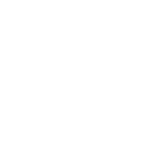 FemmeFitt