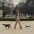 Banner de Mascota luxury