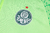Imagem do Conjunto Agasalho Treino Palmeiras 2024/2025 Verde Puma Masculino