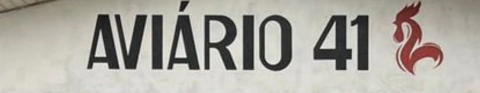 Aviario 41