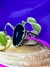 Bracelete Ágatha