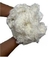 10 Estopas 150g - loja online