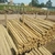 Eucalipto Tratado 4,0 m x 12 a 14 cm - loja online