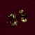 Aros Flores secas Bronce - tienda online