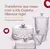 Kit Cozinha 4 Peças – Jarra, Manteigueira, Queijeira e Açucareiro em Design Moderno e Funcional - comprar online