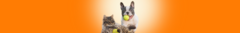 Banner da categoria Brinquedos