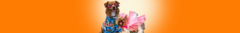 Banner da categoria Roupas