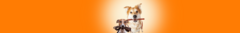 Banner da categoria Coleiras e guias