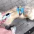 Guia retrátil para cachorros e gatos (3 e 5 metros) na internet