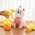 Pato de Suporte Emocional para Pets - loja online
