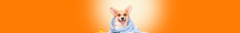 Banner da categoria Passeio