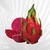 Pitaya Rabilonga Vermelha