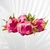 Pitaya Costa Rica - buy online
