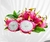 Pitaya Vietnamese White Branca