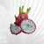 Pitaya Vietnamese White Branca na internet