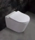 Vaso Sanitário PEX Ceasar produzido em Cerâmica na internet