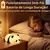 USB recarregável LED Night Lights para crianças, ovelhas fofas, Panda, coelho,