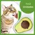 Catnip Natural Erva Gato para Homem na internet