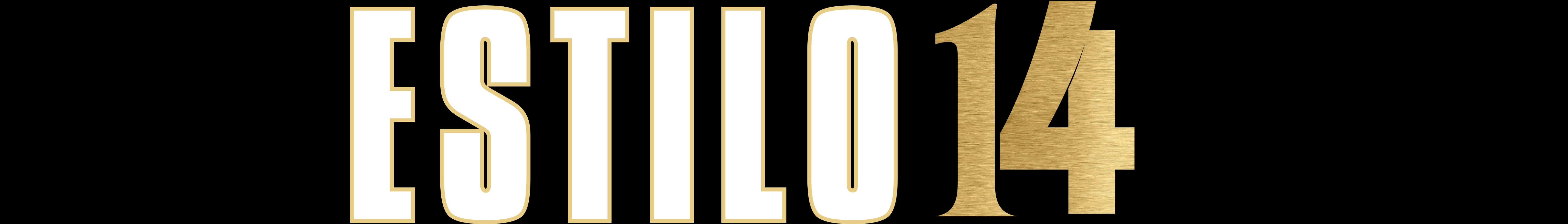 ESTILO 14