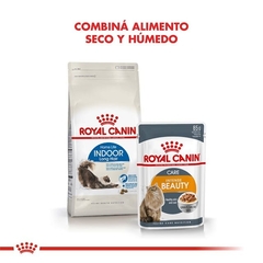 Royal Canin Gato Indoor Longhair - Pet Patas