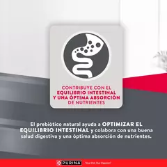 Excellent Perros Adultos Razas Medianas y Grandes