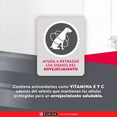 Imagen de Excellent Perros Adultos Senior de 7 años o más.Todos los tamaños