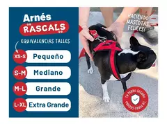 Pretal Rascals Perro Pequeño Acolchonado Premium Talle XS-S
