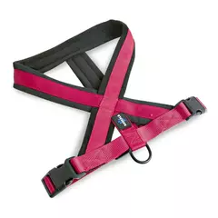 Pretal Rascals Perro Grande Acolchonado Premium Talle M-L - Pet Patas