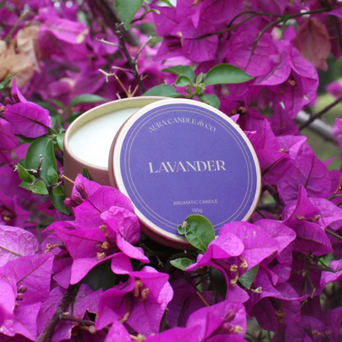 Lavander - comprar online
