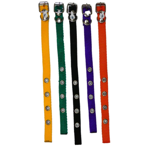 Collar Clasico Liso Gatos N°0