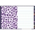 Caderno Brochura Divertidamente 80F sem figurinhas - comprar online
