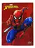 Caderno Brochura Homem-aranha 80F sem figurinhas