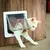 CatSafe Access: Porta para Gatos com 4 Vias e Bloqueio de Segurança Controlado - Maapshop 