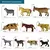 Kit 10 Animais Da Fazenda Safari Zoo Pequenos De Borracha na internet