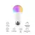 LÂMPADA LED RGB na internet
