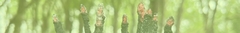 Banner de la categoría Aromas