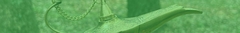 Banner de la categoría Magia