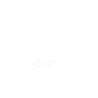 May Maciel Resinas