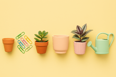 Banner de la categoría Plantas 